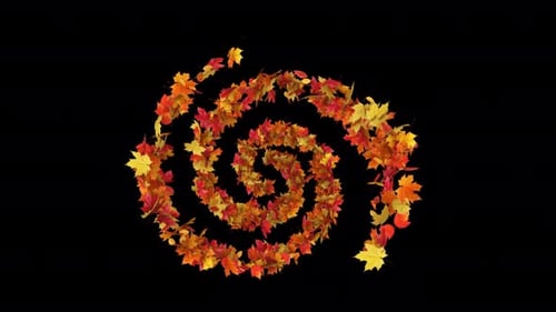 Maple Leaves Swirl sur Alpha Channel 4K.