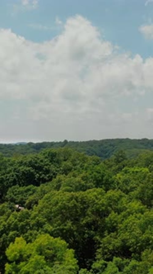 Vertical Aerial Over Lush Arkansas Forest And Blue Lake