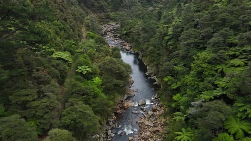 Pan up Drone Pan of river in Gorge New Zealand with bushland trees