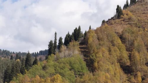 Malerische Berglandschaft mit buntem Herbstwald