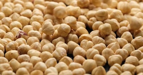 Peeled Hazelnuts Being Added to a Pile