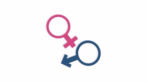 Animated Gender Identity Symbols Reveal