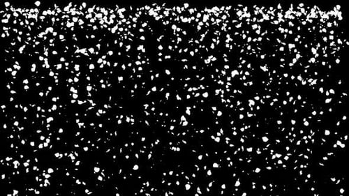 Falling White Confetti Particles Seamless Loop Overlay