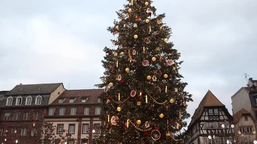 huge christmas tree in town square at Festive Christmas market in Strasbourg, France Europe