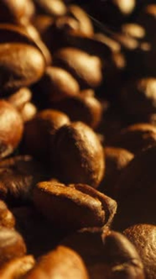 Vertical Close Up of Shiny Brown Coffee Beans