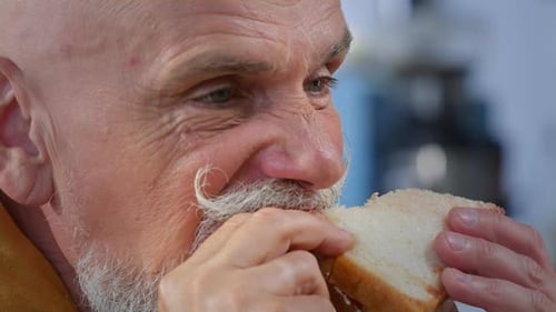A Large Portrait of an Old Man a Senior Eating a Sandwich A Snack or a Freelancer's Breakfast Street