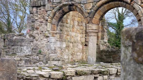 Ancient Basingwerk abbey abandoned historical landmark arched architecture building stone walls doll