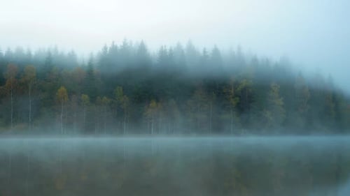 Morning fog in autumn lake landscape. Mountain with trees reflecting in the water