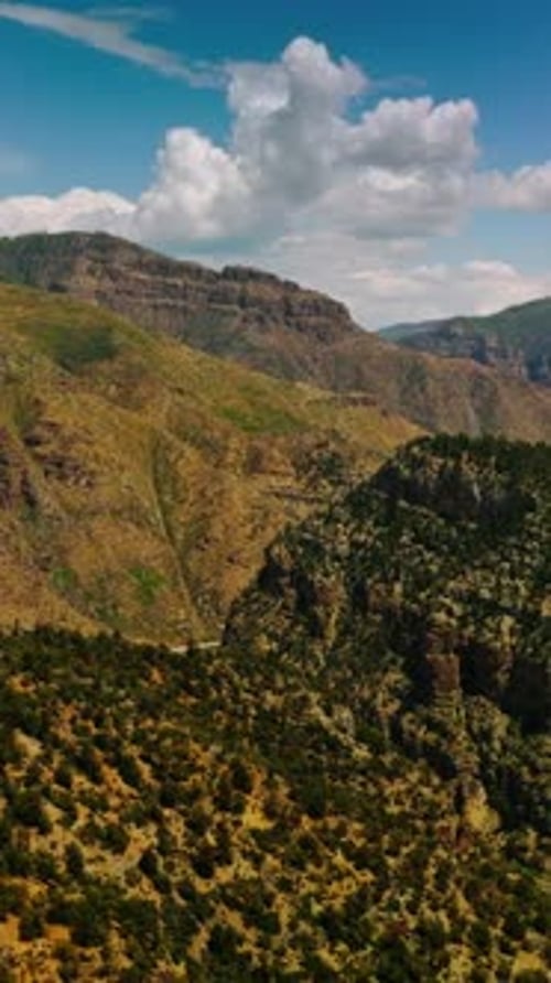 Voler au-dessus des montagnes envahies par les pins et les buissons.