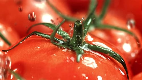 Wassertropfen fallen auf Tomaten. Makroaufnahme, gefilmt mit einer Hochgeschwindigkeitskamera mit 1000 Bildern pro Sekunde