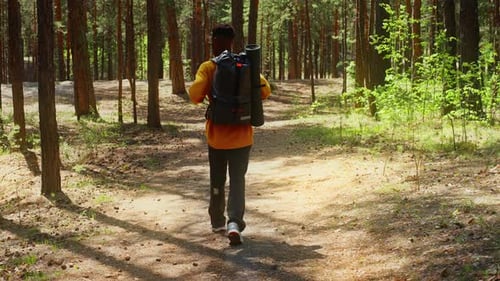 An African American Traveler with a Backpack Walks Through the Forest