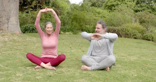 Mature Couple Doing Yoga Exercises in a Park
