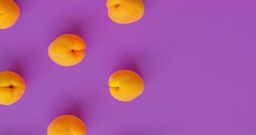 Video of Apricots Pattern on Bright Purple Background Apricot Pattern Top View Flat Lay Summer Fruit