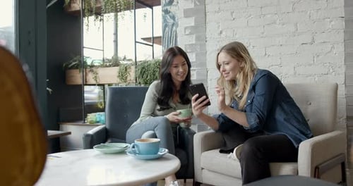 Female friends in cafe looking at smart phone, wireless technology friendship togetherness