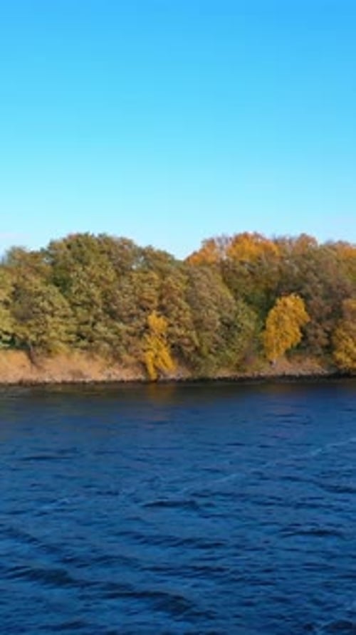 Beautiful forest near the lake under clear sky. Flight over the blue water