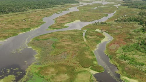 Abstract aerial patterns of coastal wetlands in camden county Georgia USA