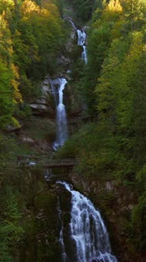Scenic Waterfall Cascading Through Lush Forest