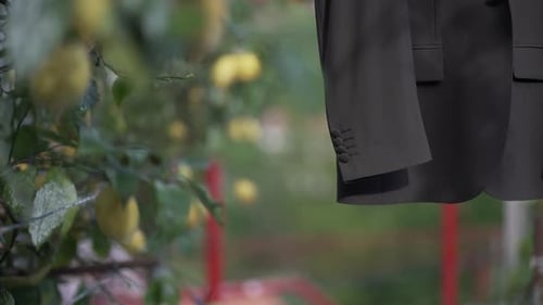 suit jacket hanging outdoors near lemon trees, blending formalwear with a natural setting.