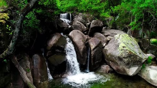 Waterfall Flowing in the Forest