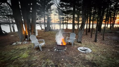 Fire pit with chairs by lake in forest at dusk