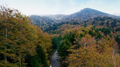 Road in the Middle of the Autumn Mountain Aerial
