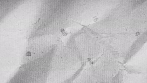 Paper Texture, Paper Background