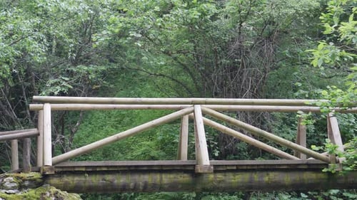 Side shot of a girl trekking across a wooden bridge in a natural green forest
