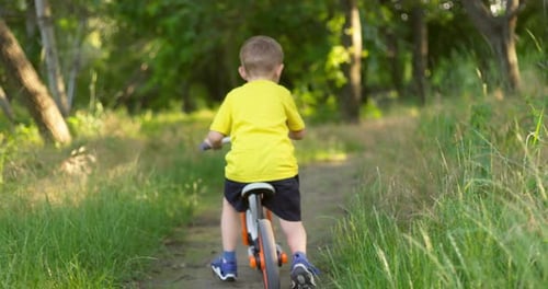 Child Ride on Bicycle Through the Forest on Summertime Vacations