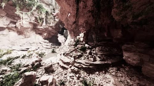 A Stunning Narrow Canyon with Lush Vegetation and Unique Rock Formations