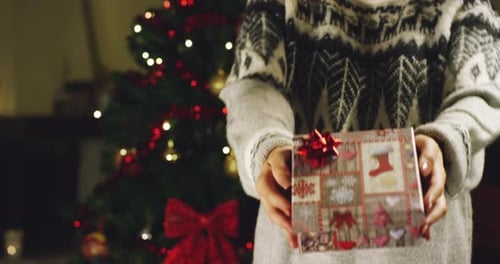 Christmas Gift Presented in Front of Tree