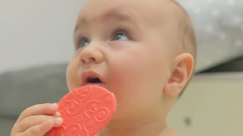 Adorable Infant Chewing Toy in a Close Up