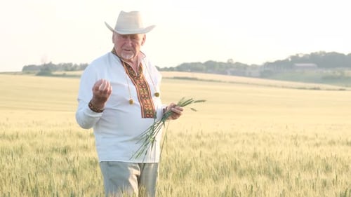 An Old Peasant in an Embroidered Coat and Hat in the Middle of a Wheat Field Against a Clear Sky