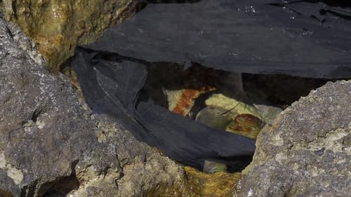 Black plastic bag in the water of a river polluting the environment. Pollution with plastic. Nature