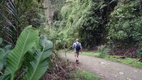 Lone man walks down gravel road in lush green jungle of South America