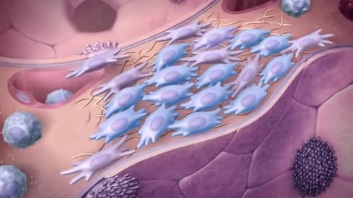 Cellular Interaction in Tissue Microscopic Animation
