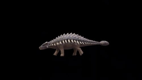 Dinosaur Ankylosaurus Walk Loop