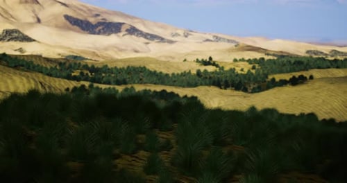 A Vibrant Landscape Showcases Green Vegetation Thriving Amidst Vast Sandy Hills