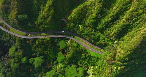 Automobiles ride by two highways crossing the green mountainous area.