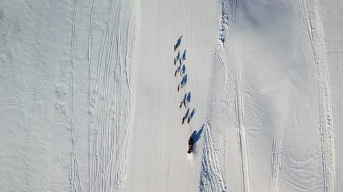 Aerial View of Sled Dogs Pulling Sled in Snow