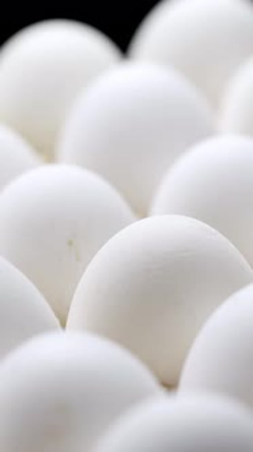 Close-up of packed chicken eggs. White eggs in carton box. Vertical video