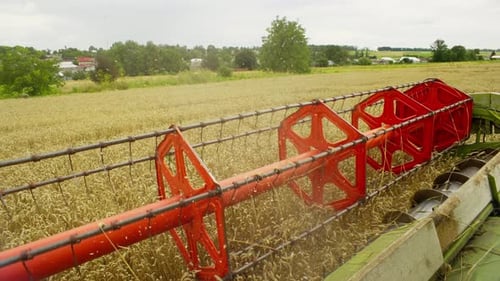 Closeup of the Drum of the Combine Threshing Wheat in the Field