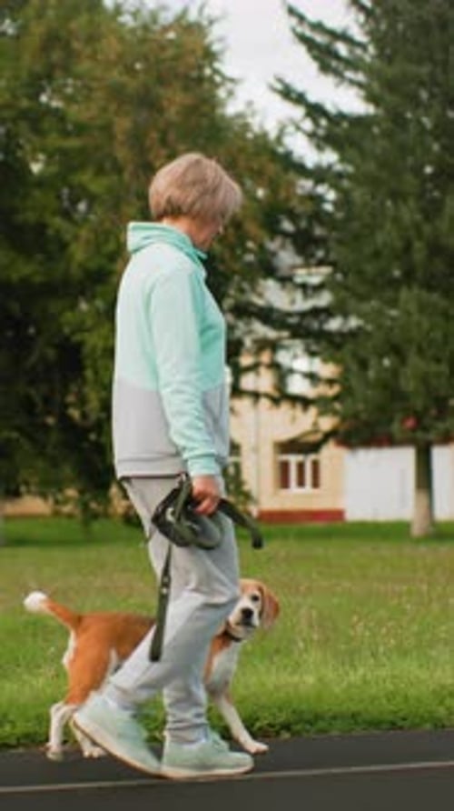 Woman Walks Dog on Leash on Track