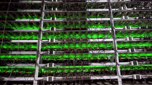 Large Wired Internet Datacenter Storage Cryptocurrency Mining Equipment on Large Farm ASIC Miners on