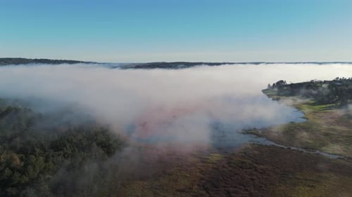 Majestic descending drone flyover shot of a colorful river with fog sweeping in, and trees with diff