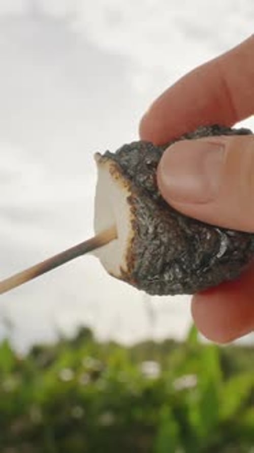 Vertical video. Hand Holding Burnt Marshmallow on Stick with Gooey Melted Center Against Sunlight