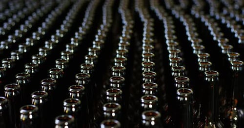 automated industrial chain of bottles for beer and alcoholic and soft drinks. the concept of indus