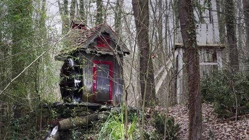 Water Mill In Nature 3