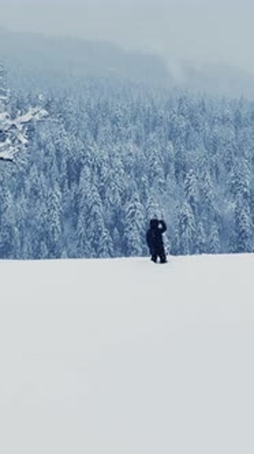 Person Walking Through Snowy Winter Landscape