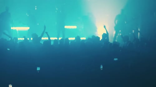 Excited Concert Crowd Enjoying Live Music Show