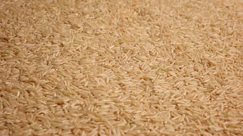 Dry Rice Wallpaper Long Brown Rice Rotating Close Up Grains Fall Poured a Stack World Crisis Export